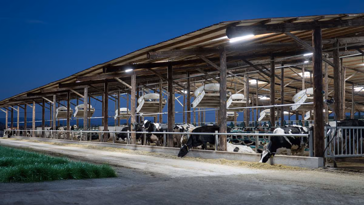 GEA BatchMilking
